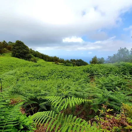 & Barbacue Giovanni Icod De Vinos Feriehus Icod De Los Vinos