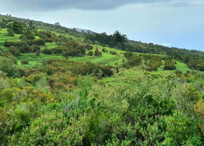 & Barbacue Giovanni Icod De Vinos Σπίτι διακοπών *
