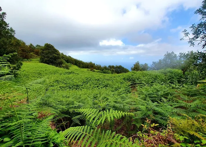 & Barbacue Giovanni Icod De Vinos Σπίτι διακοπών Icod De Los Vinos