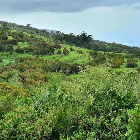 & Barbacue Giovanni Icod De Vinos Holiday home *